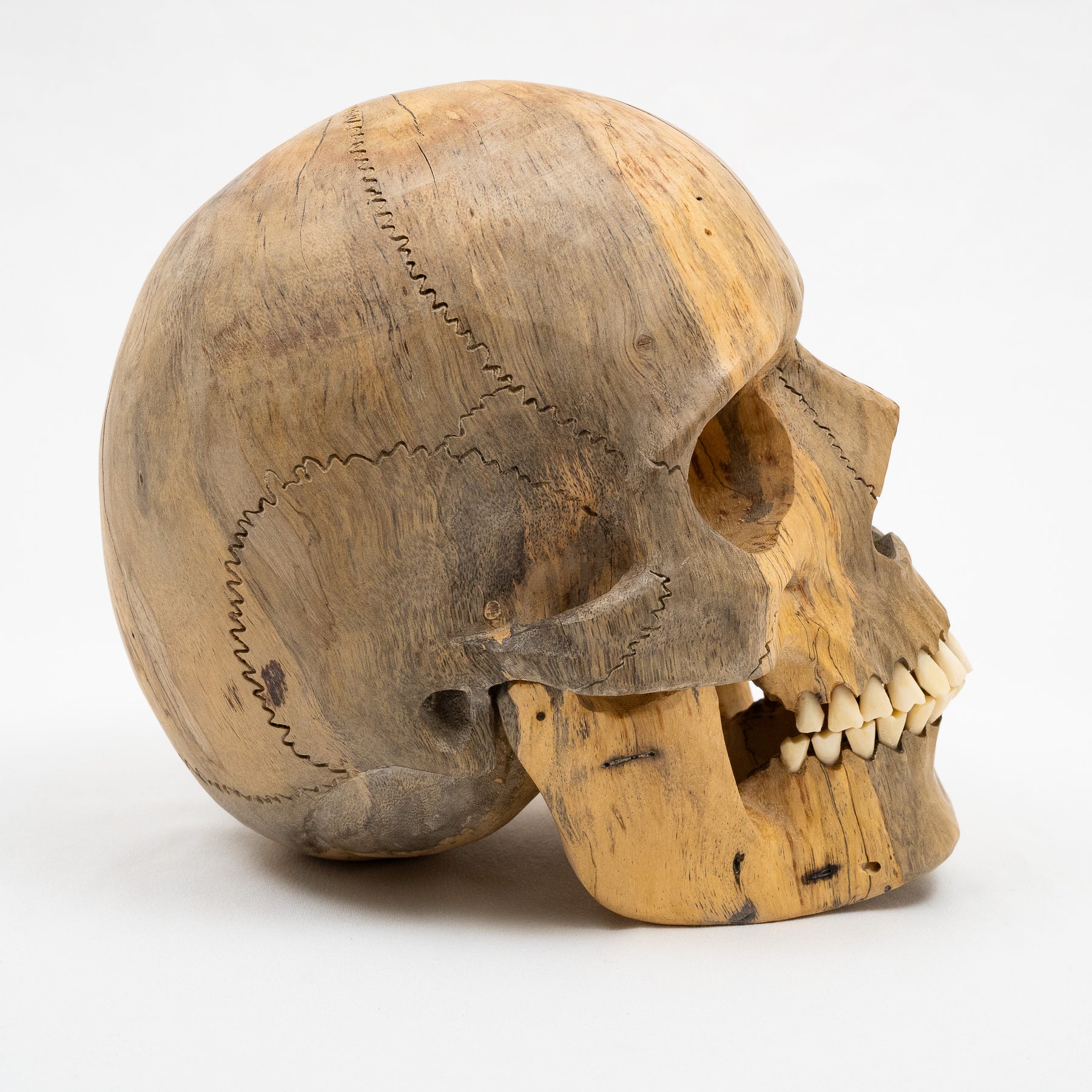 Wood Skull - Life Size Large 9.5" Hand Carved Human Skull Replica Skeleton Head