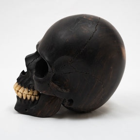 Black Ebony Wood Skull - Large 5.5" Hand Carved Human Skull Replica Skeleton Head