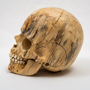 Wood Skull - Life Size Large 8" Hand Carved Human Skull Replica Skeleton Head