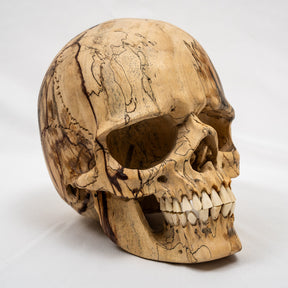 Wood Skull - Life Size Large 8" Hand Carved Human Skull Replica Skeleton Head