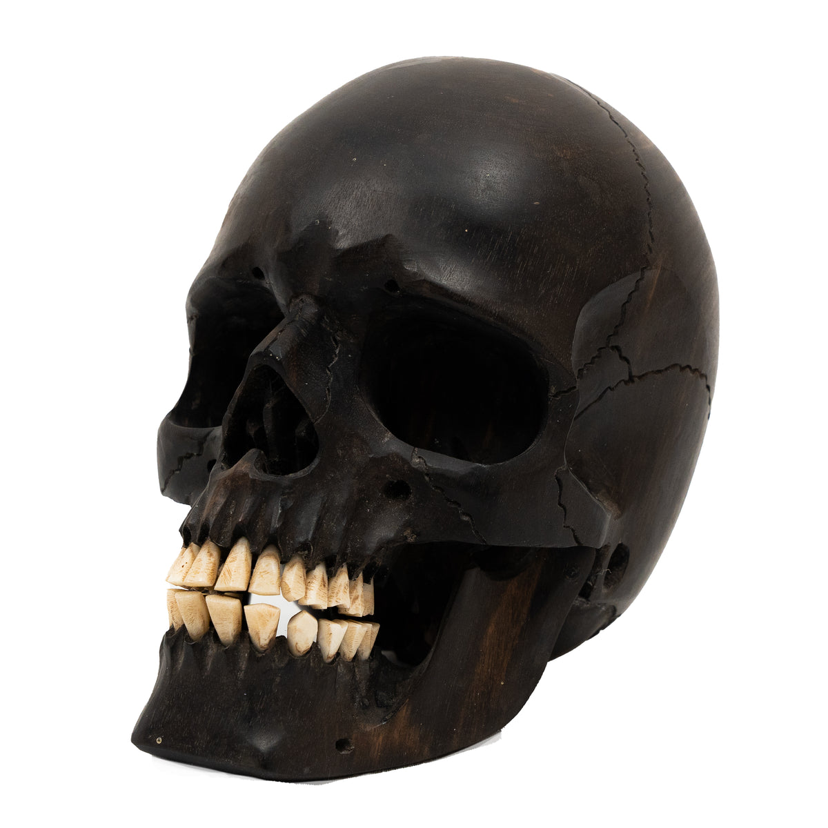 Black Ebony Wood Skull - Large 5.5" Hand Carved Human Skull Replica Skeleton Head