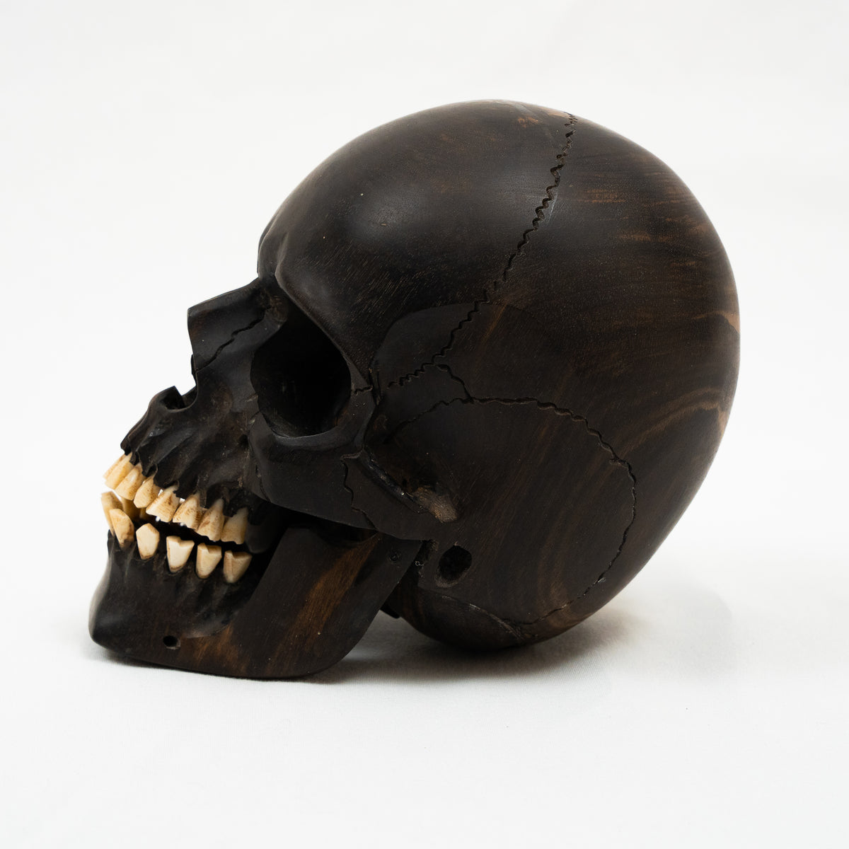 Black Ebony Wood Skull - Large 5.5" Hand Carved Human Skull Replica Skeleton Head