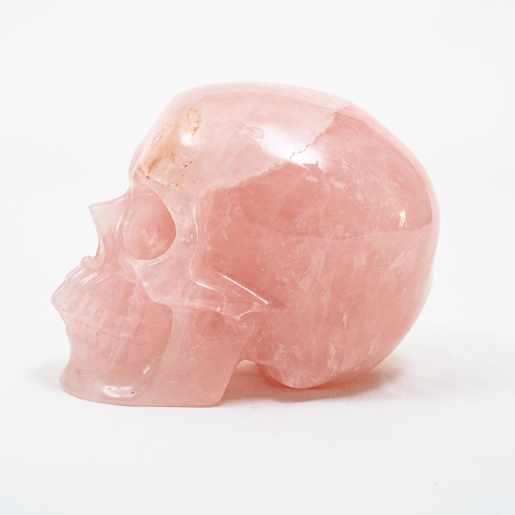 Rose Quartz Crystal Skull - Large Hand Carved 5" Reiki, Chakra Healing Gemstone