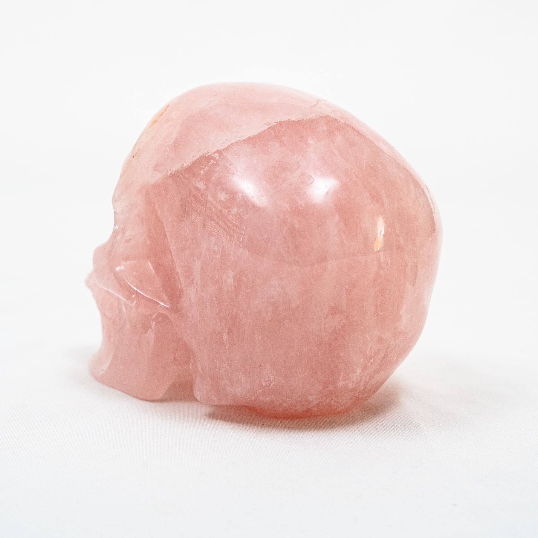 Rose Quartz Crystal Skull - Large Hand Carved 5" Reiki, Chakra Healing Gemstone