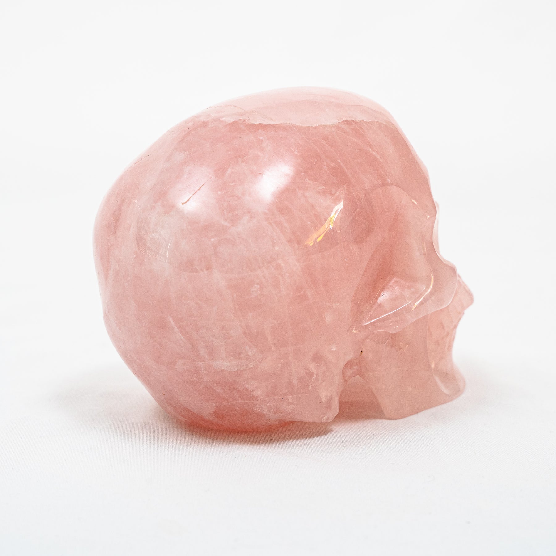 Rose Quartz Crystal Skull - Large Hand Carved 5" Reiki, Chakra Healing Gemstone