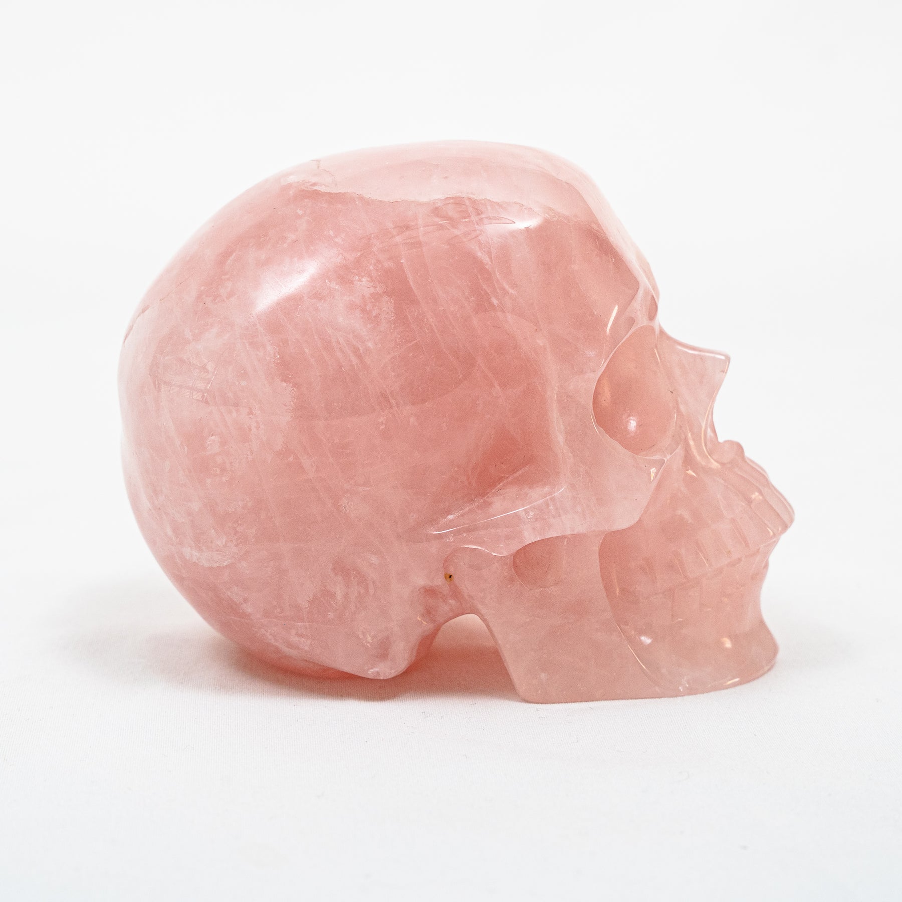 Rose Quartz Crystal Skull - Large Hand Carved 5" Reiki, Chakra Healing Gemstone