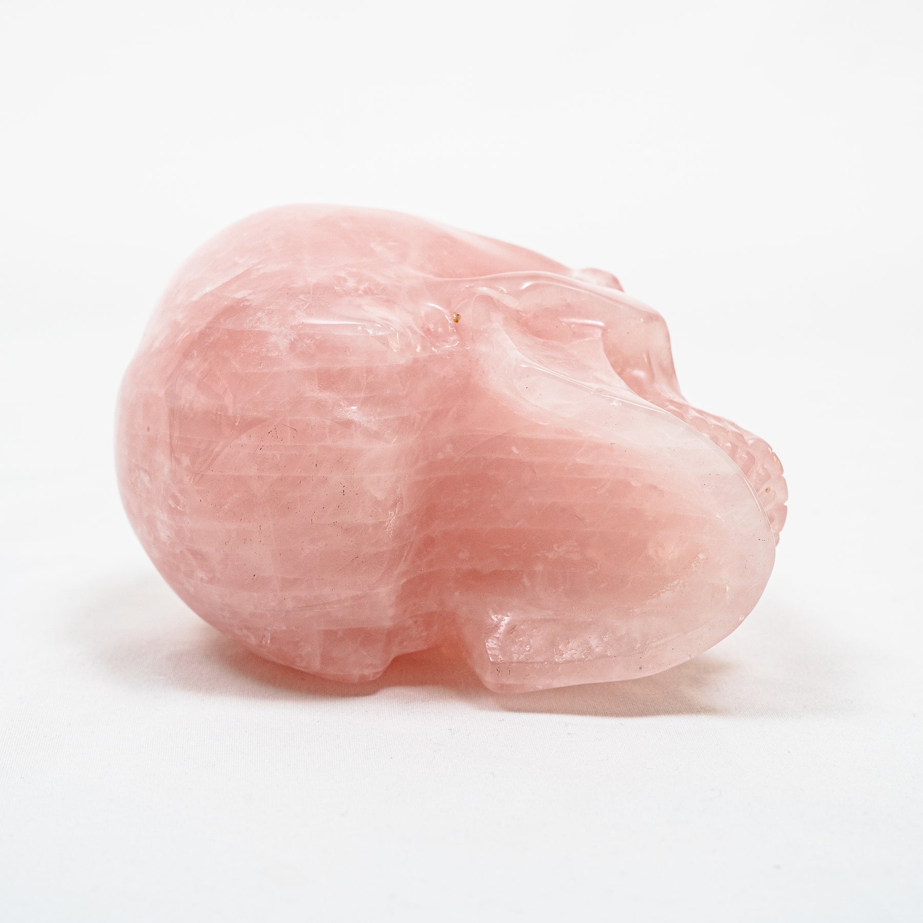 Rose Quartz Crystal Skull - Large Hand Carved 5" Reiki, Chakra Healing Gemstone