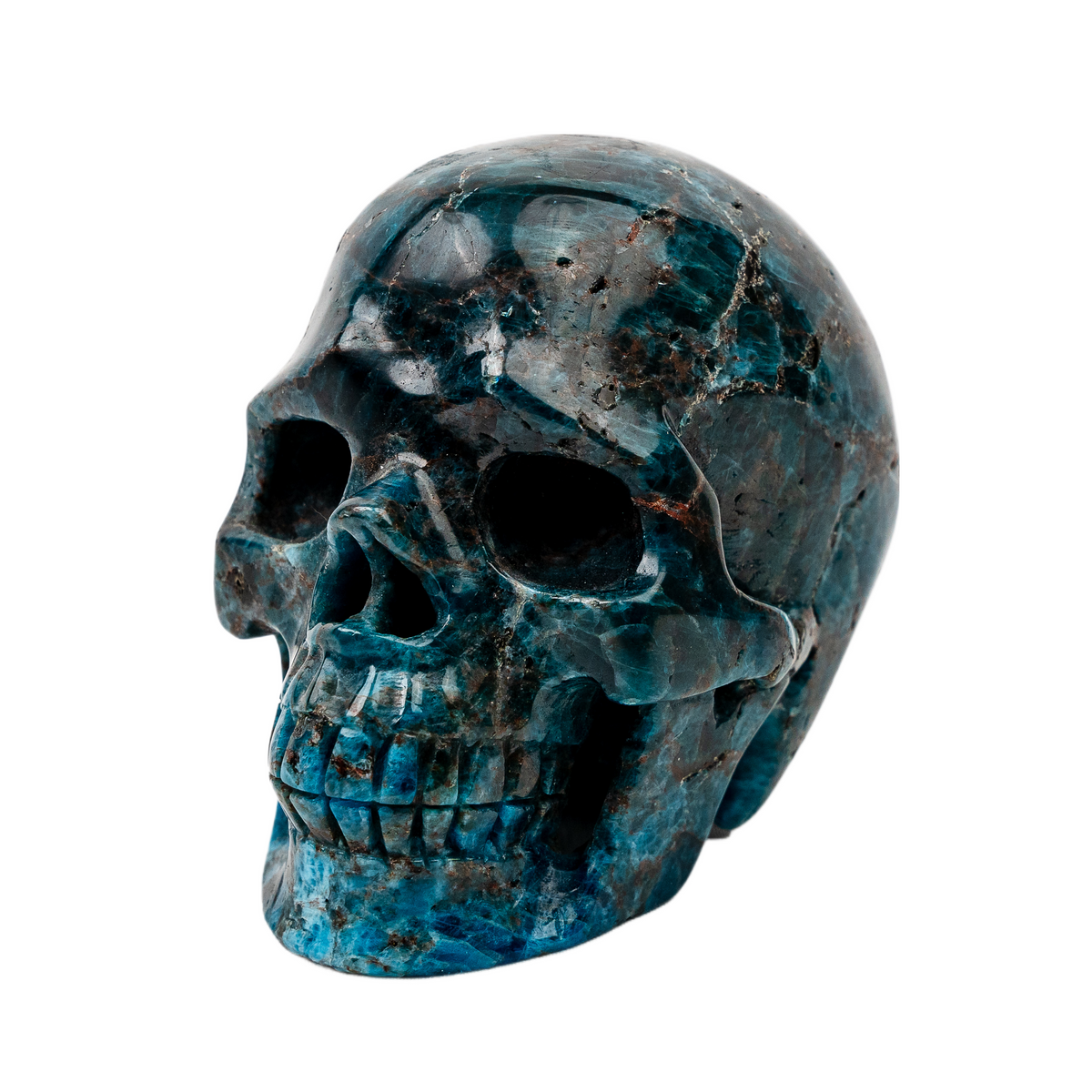 Blue Apatite 4.25" Large Crystal Skull - RARE