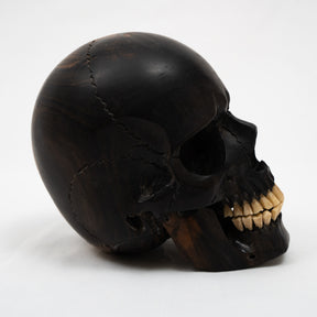 Black Ebony Wood Skull - Large 5.5" Hand Carved Human Skull Replica Skeleton Head