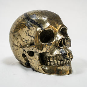 Gold Iron Pyrite Crystal Skull - Large Hand Carved 5" Reiki, Chakra Healing Crystal Skull Stone