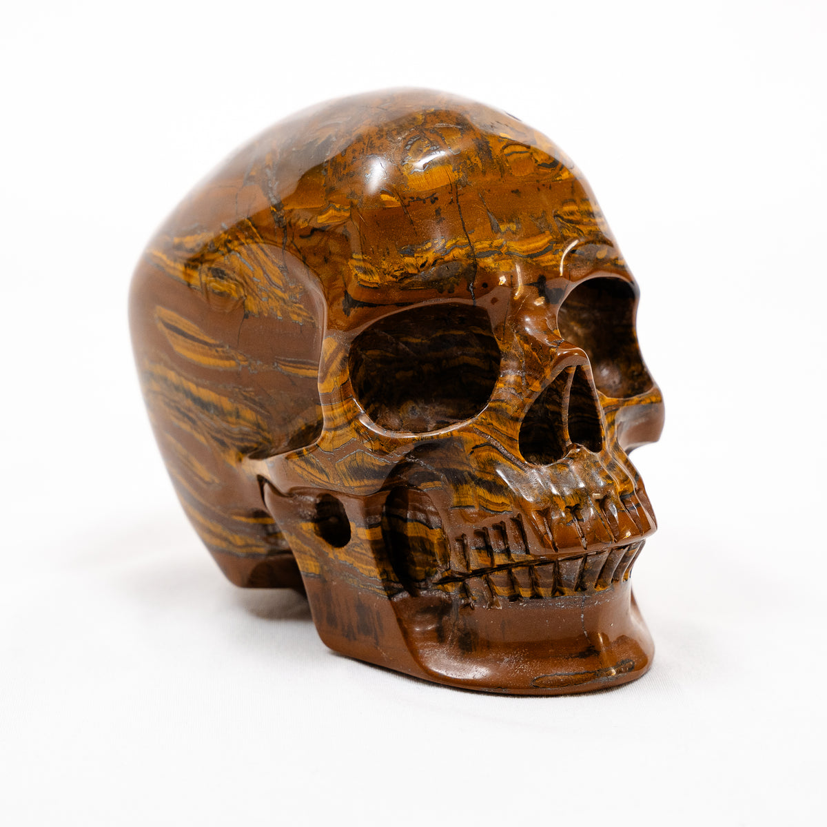 Iron Tigers Eye Quartz Crystal Skull - Large Hand Carved 5" Reiki, Chakra Healing Stone Skull