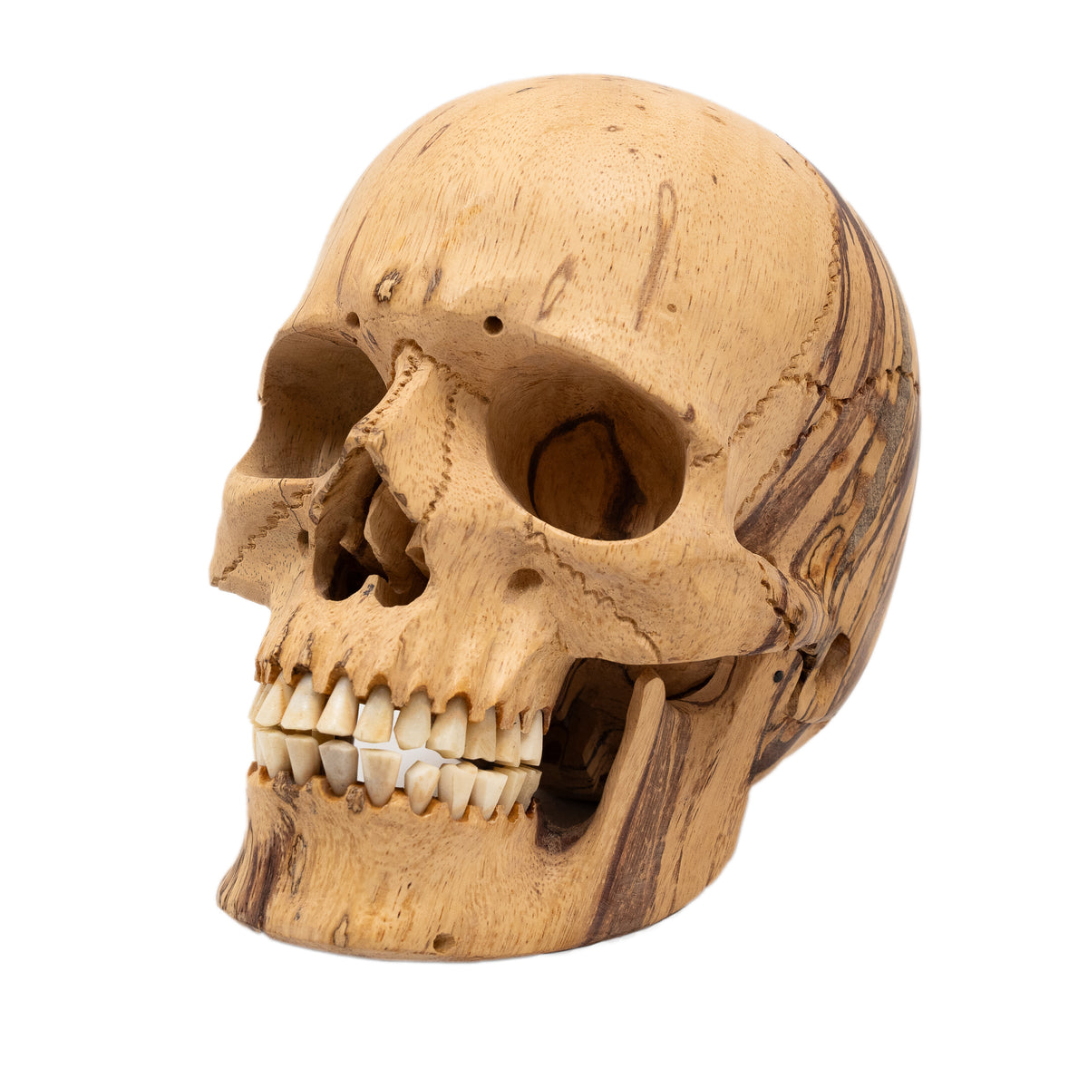 Wood Skull - Life Size Large 8" Hand Carved Human Skull Replica Skeleton Head