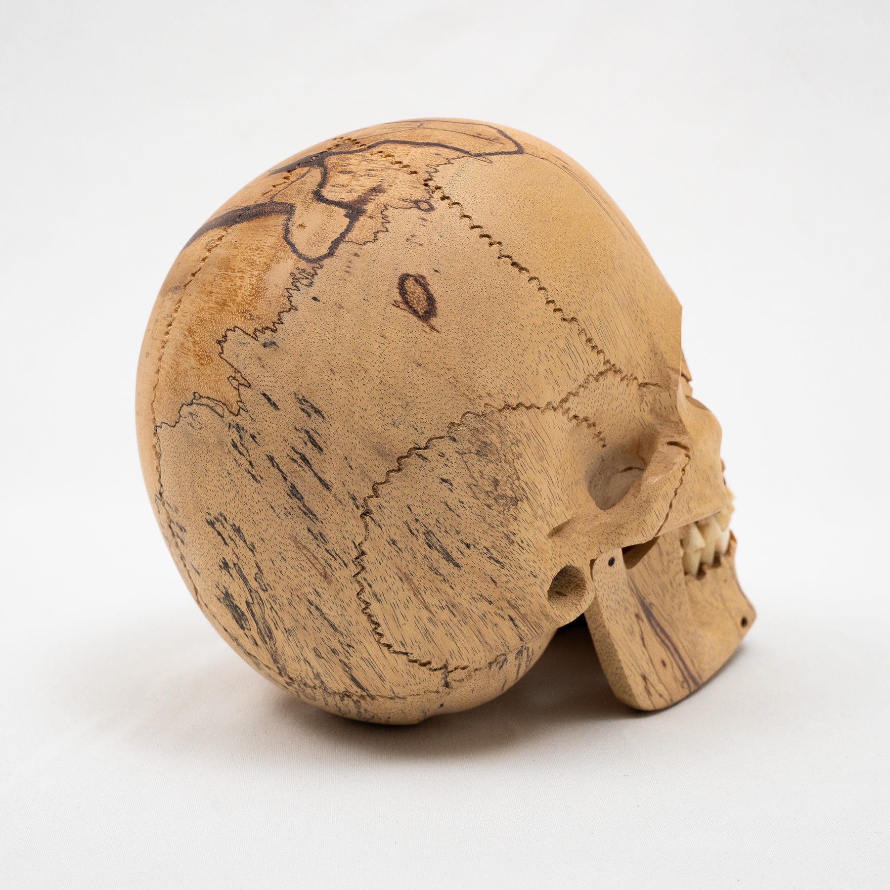 Wood Skull - Life Size Large 8" Hand Carved Human Skull Replica Skeleton Head