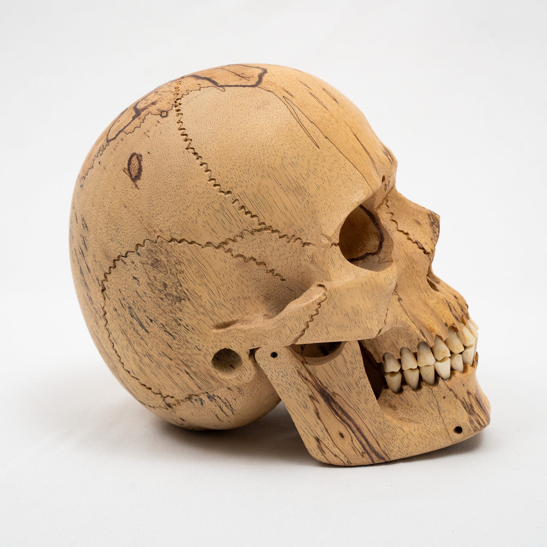 Wood Skull - Life Size Large 8" Hand Carved Human Skull Replica Skeleton Head