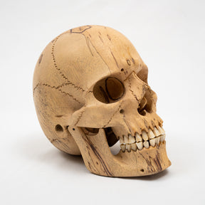 Wood Skull - Life Size Large 8" Hand Carved Human Skull Replica Skeleton Head