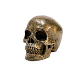 Gold Iron Pyrite Crystal Skull - Hand Carved 3.5" Reiki, Chakra Healing Crystal Skull Stone