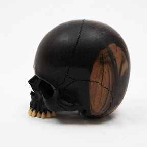 Jawless Skull - Hand Carved Black Ebony Wood Skull Large 5.75"  Human Skull Replica Skeleton Head