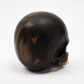 Jawless Skull - Hand Carved Black Ebony Wood Skull Large 5.75"  Human Skull Replica Skeleton Head