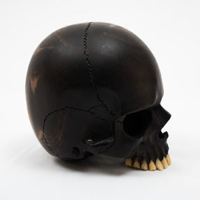 Jawless Skull - Hand Carved Black Ebony Wood Skull Large 5.75"  Human Skull Replica Skeleton Head