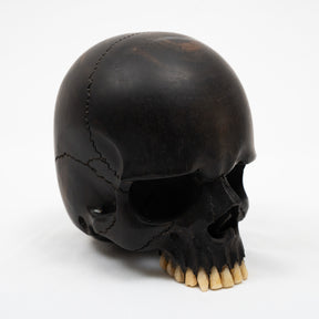 Jawless Skull - Hand Carved Black Ebony Wood Skull Large 5.75"  Human Skull Replica Skeleton Head