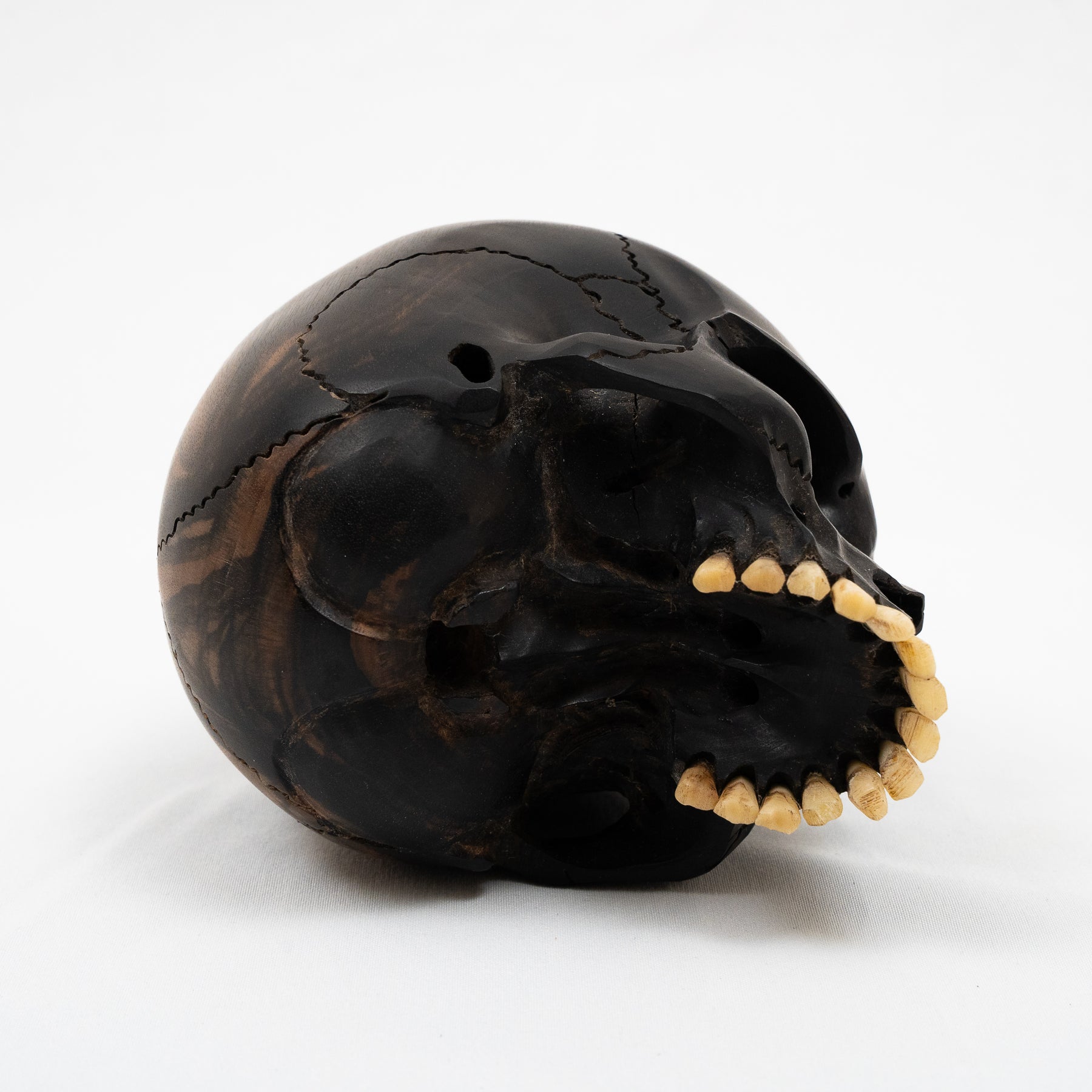 Jawless Skull - Hand Carved Black Ebony Wood Skull Large 5.75"  Human Skull Replica Skeleton Head