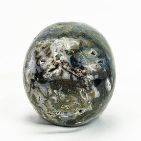 Moss Agate 4.75" Large Crystal Skull