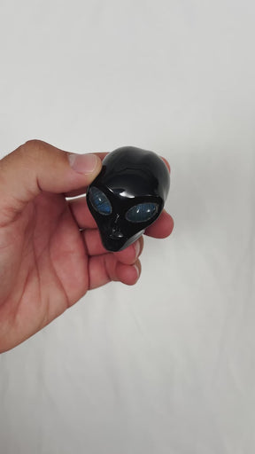 Elongated Bloodstone Crystal Skull - Hand Carved 2.75" Reiki Chakra Healing Skull Stone