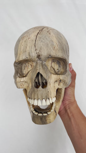 Wood Skull - Life Size Large 9.5" Hand Carved Human Skull Replica Skeleton Head