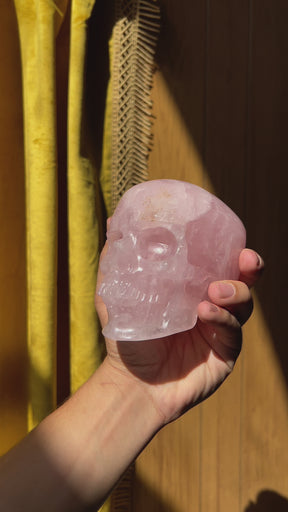 Rose Quartz Crystal Skull - Large Hand Carved 5" Reiki, Chakra Healing Gemstone