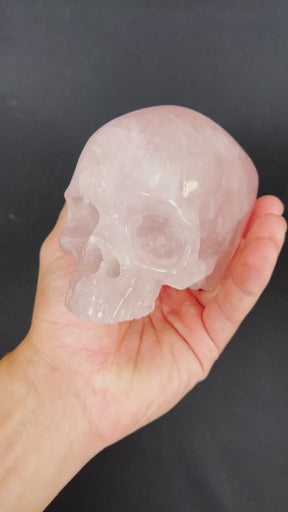 Smoky Quartz Jawless Crystal Skull - Large Hand Carved 4.75" Reiki Chakra Healing Crystal Skull Stones