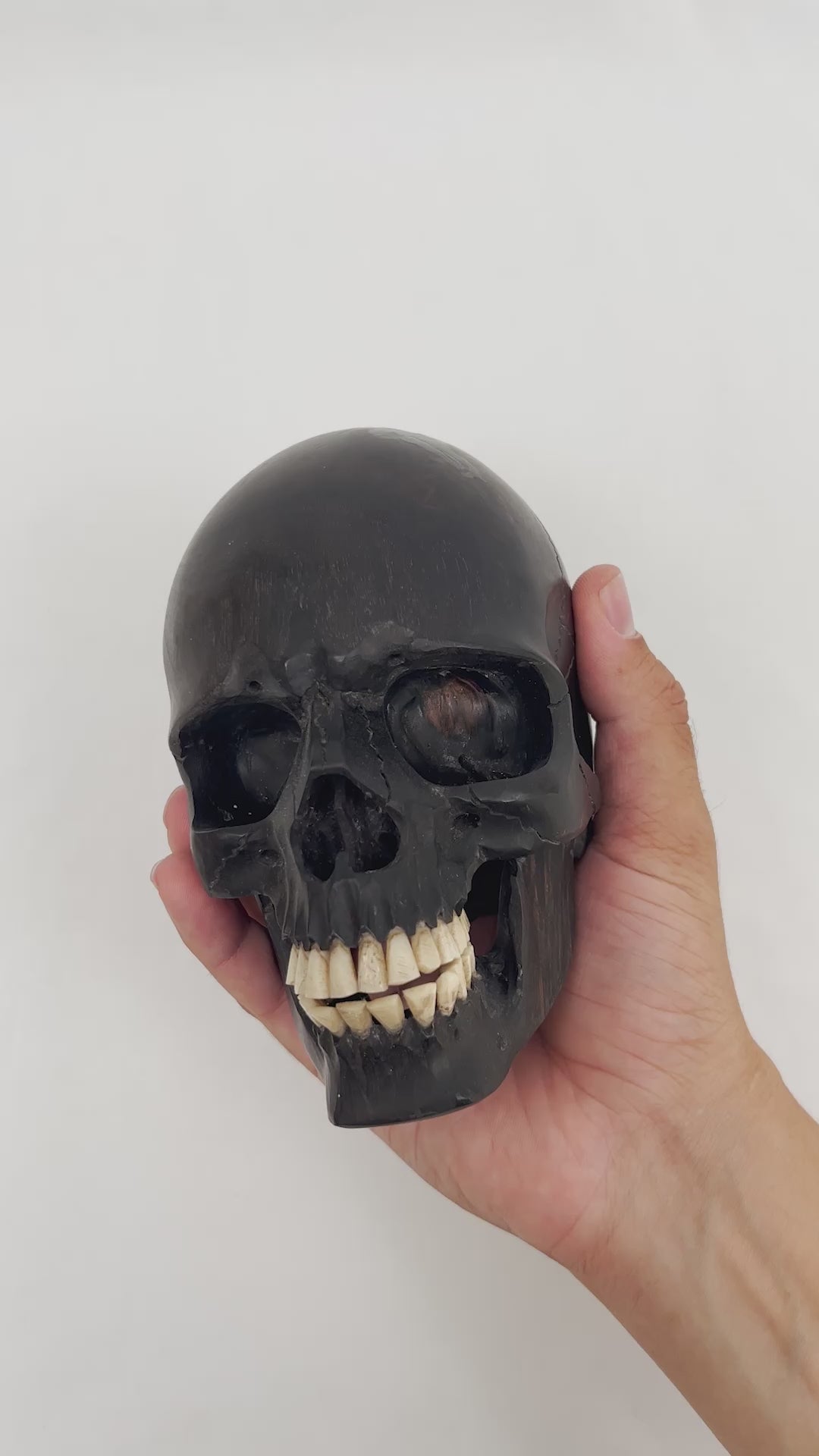 Black Ebony Wood Skull - Large 5.5" Hand Carved Human Skull Replica Skeleton Head