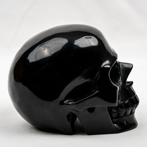 Black Obsidian 4.5" Crystal Skull