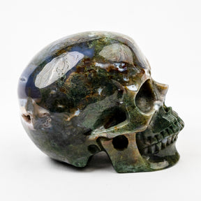 Moss Agate 5" Large Crystal Skull