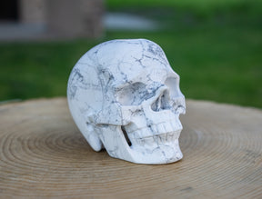 Howlite 4.5" Crystal Skull