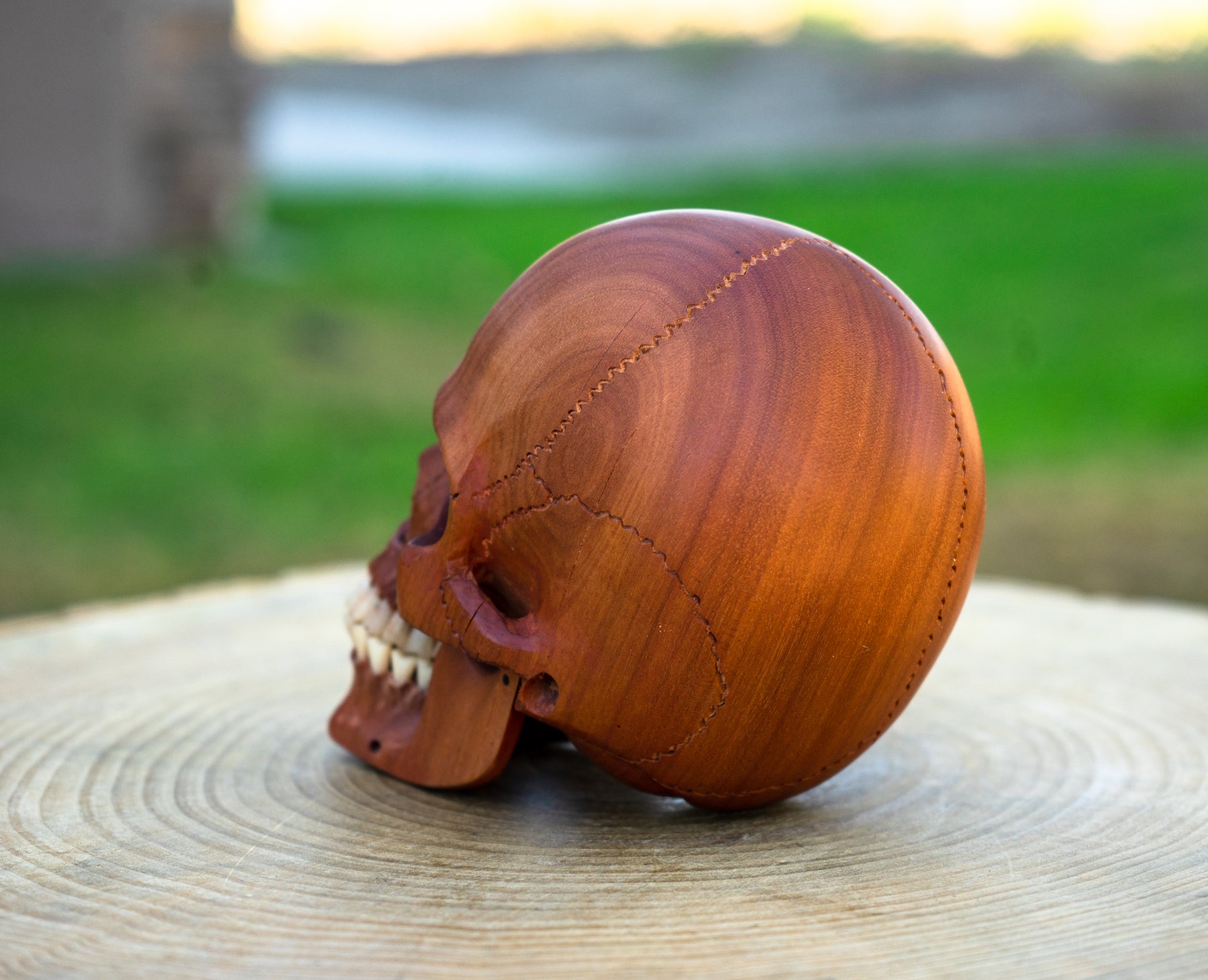 Red Wood 4.75" Skull