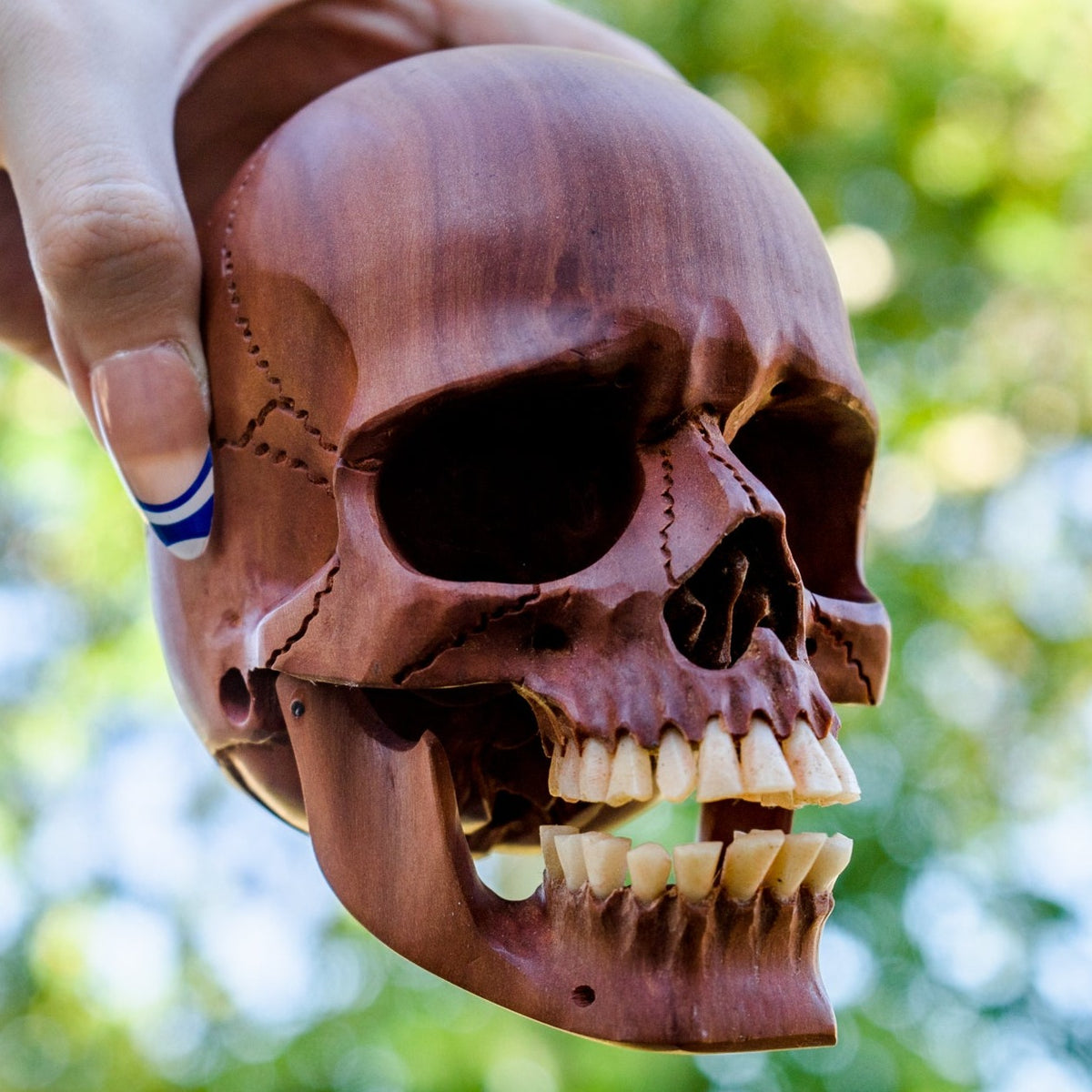 Red Wood 4.75" Skull