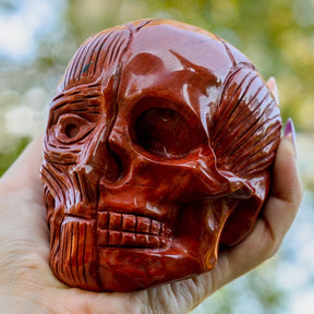 Red Jasper 4" Crystal Skull Titan