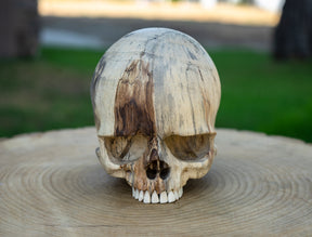 Tamarind Wood 5.5" Jawless Skull