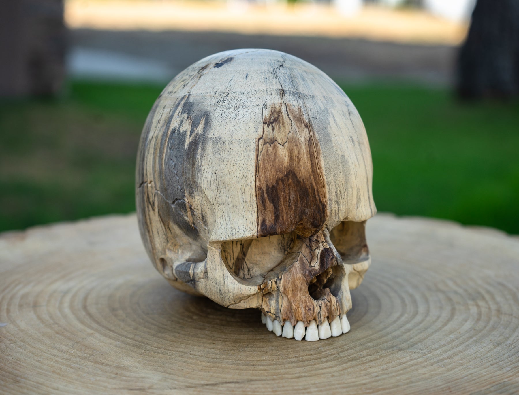 Tamarind Wood 5.5" Jawless Skull