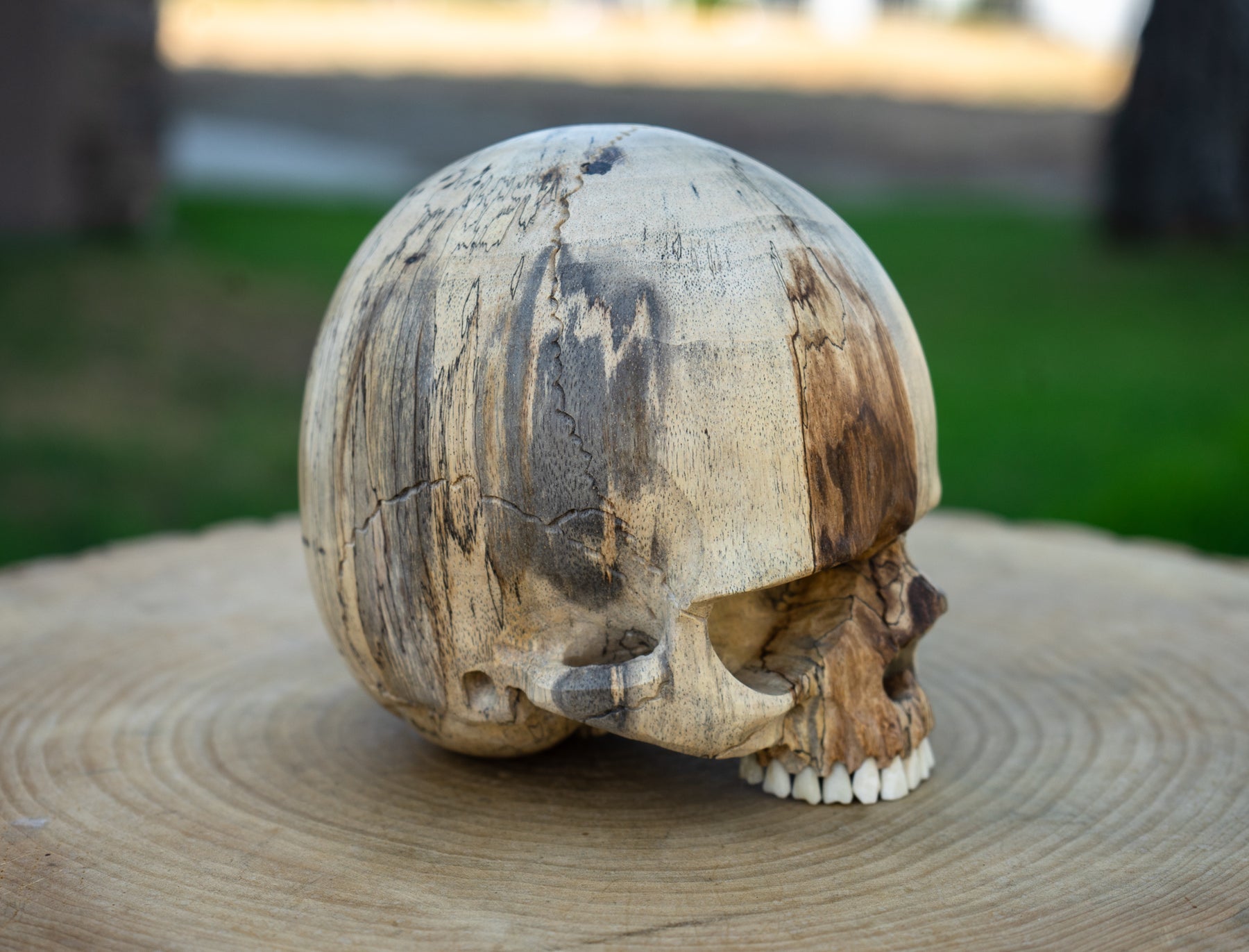 Tamarind Wood 5.5" Jawless Skull