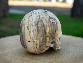 Tamarind Wood 5.5" Jawless Skull