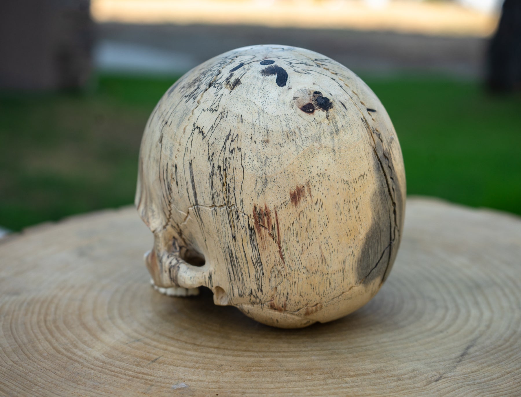 Tamarind Wood 5.5" Jawless Skull