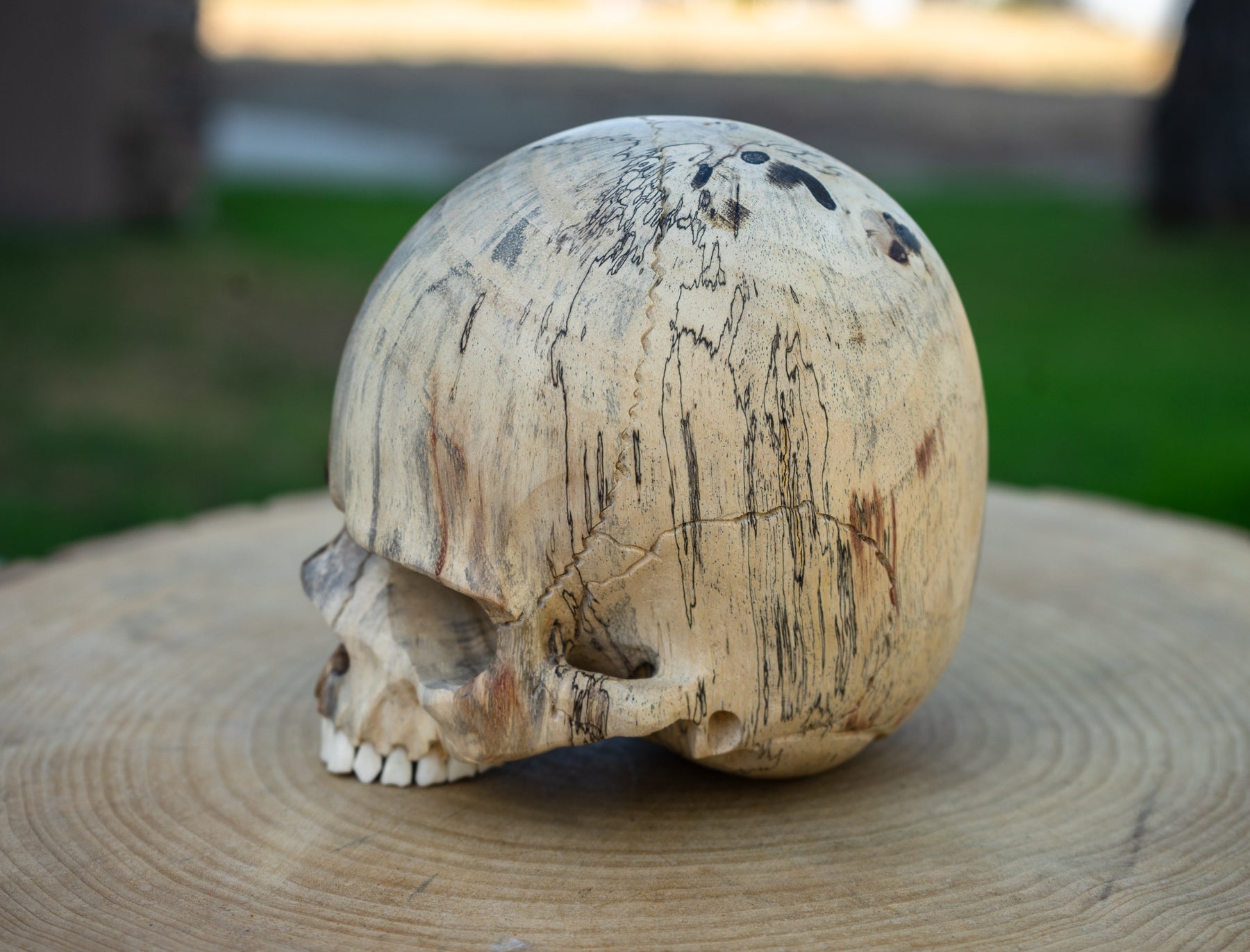 Tamarind Wood 5.5" Jawless Skull