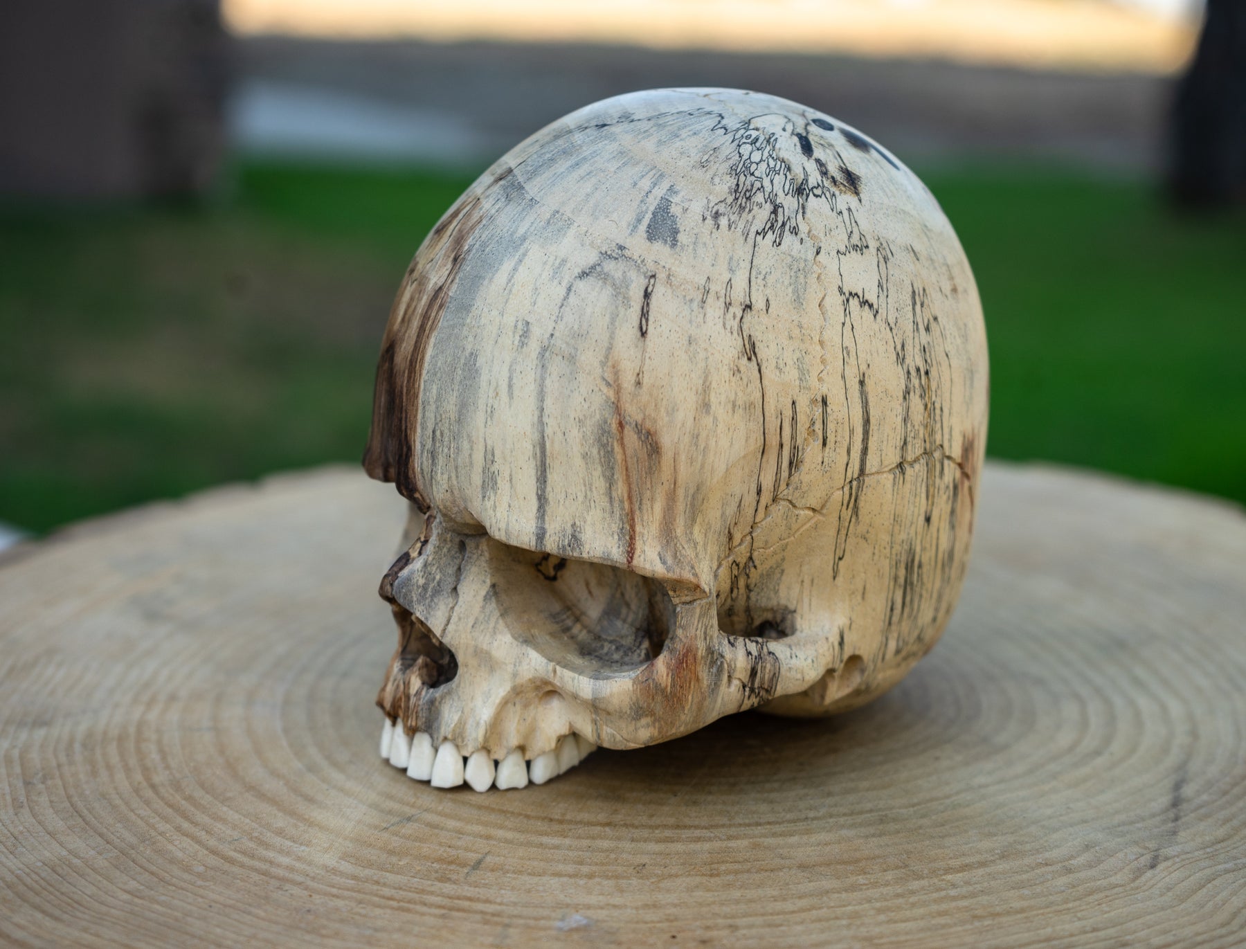 Tamarind Wood 5.5" Jawless Skull