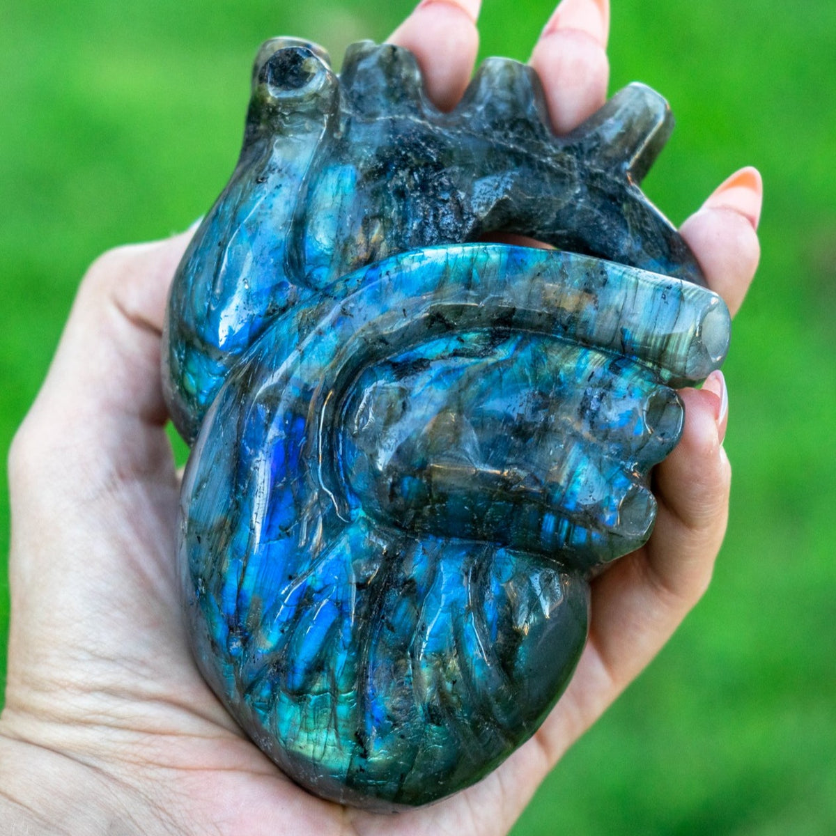 Labradorite 5" Anatomical Crystal Heart