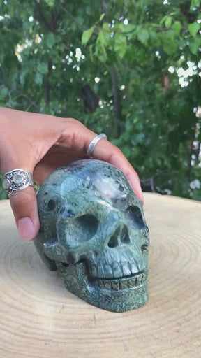 Kambaba Jasper 4.5" Crystal Skull