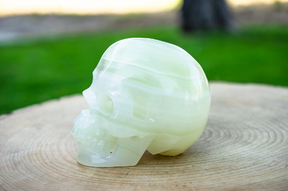 Pistachio Calcite 4.25" Crystal Skull