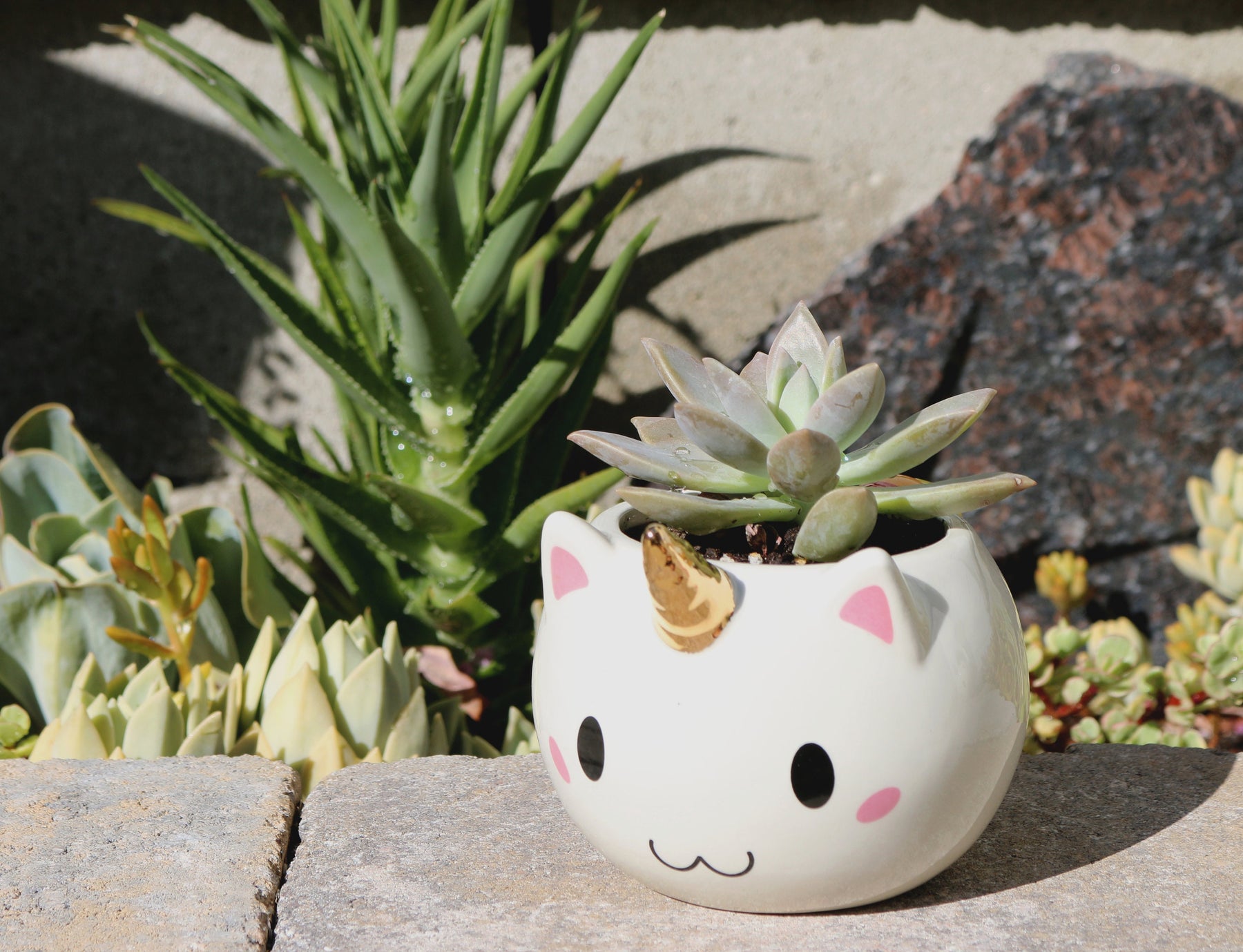 Rainbow Caticorn Mug and Spoon Set