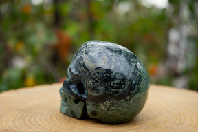 Kambaba Jasper 4.5" Crystal Skull