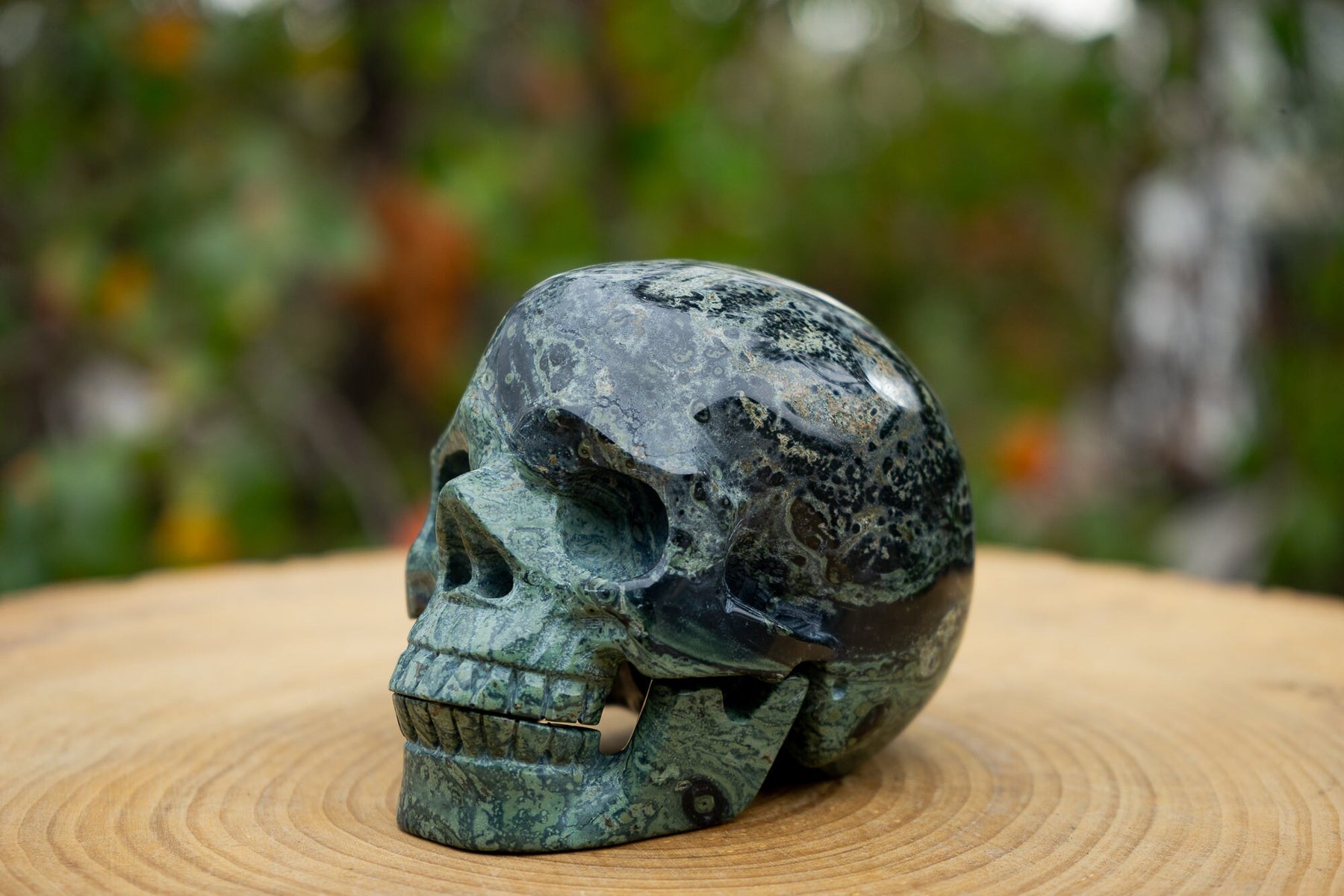 Kambaba Jasper 4.5" Crystal Skull